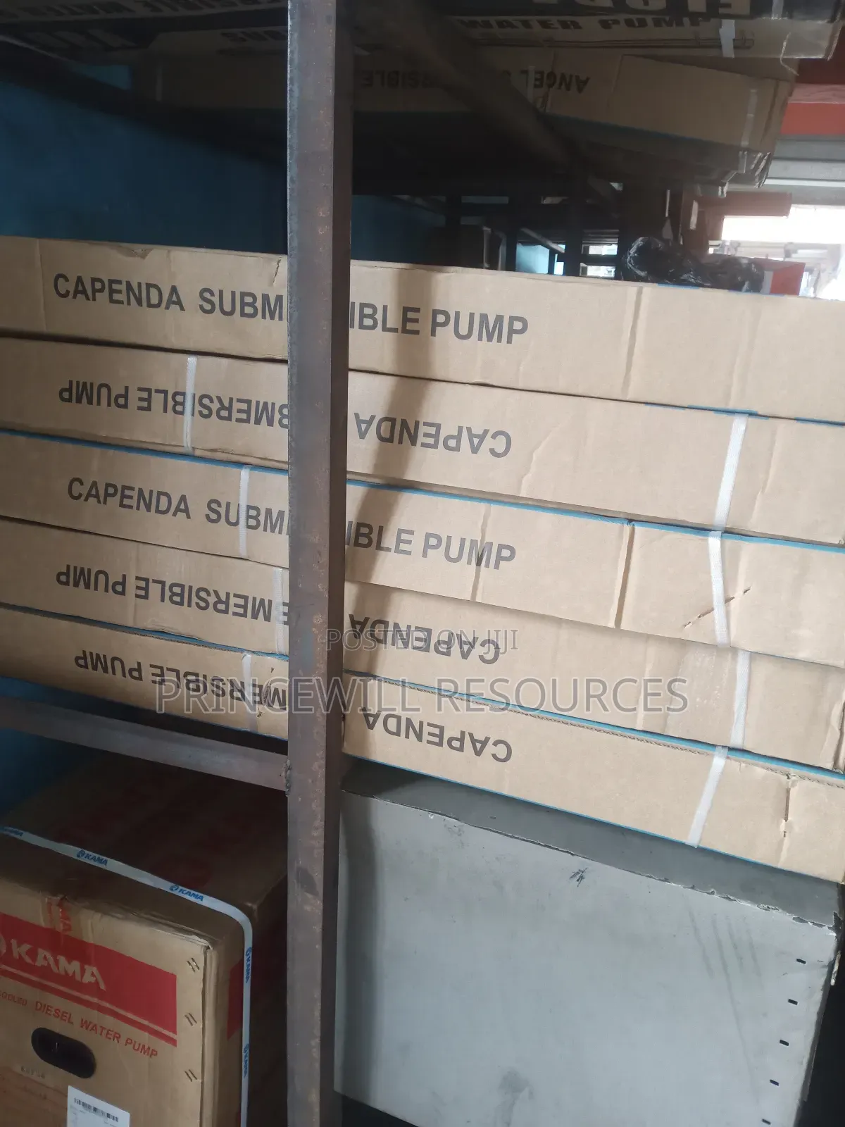Pump and Teflon Gasket 3mm