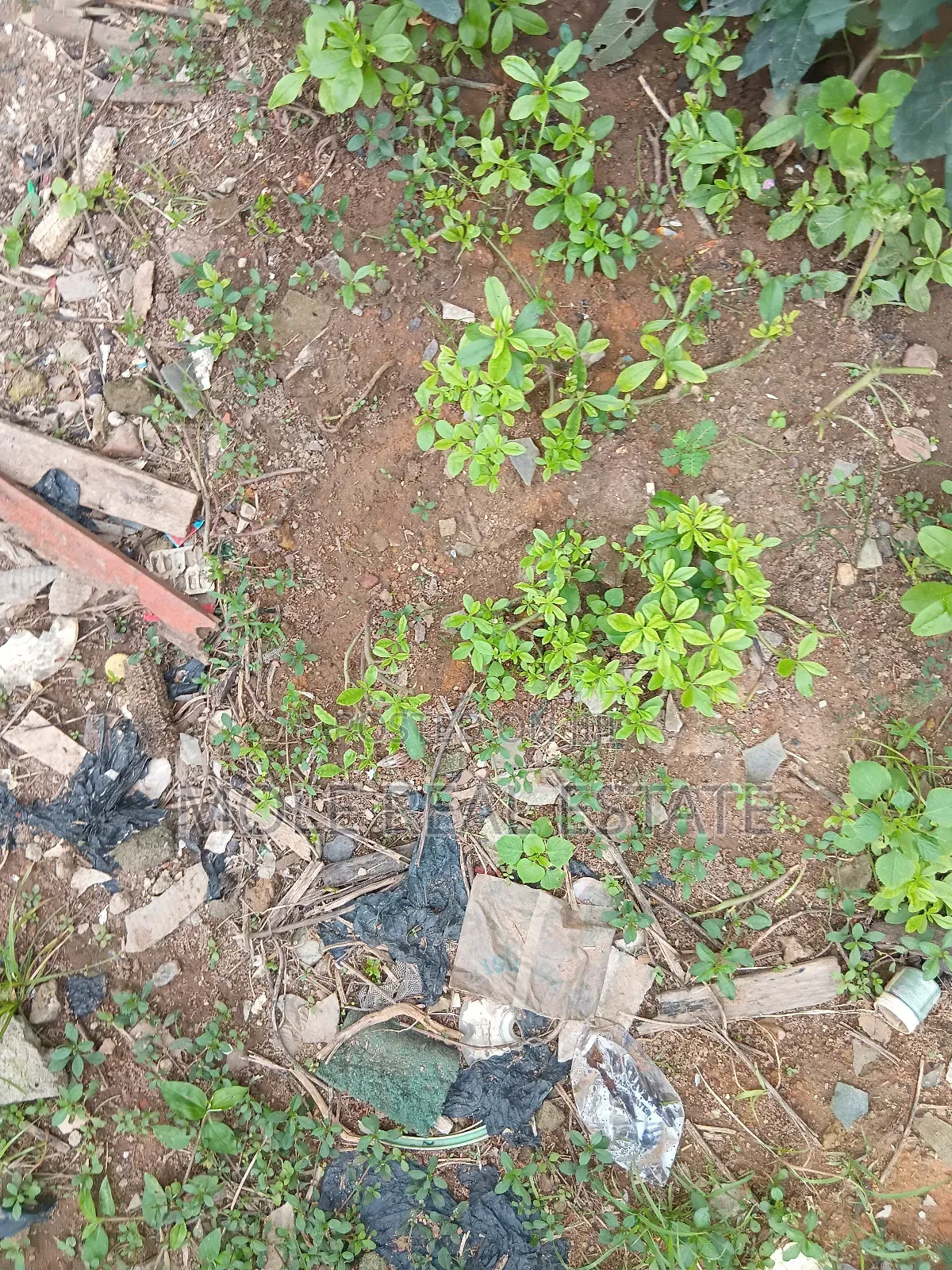 300sqm Plot Ishitu Iguando Guided Round Near Rd