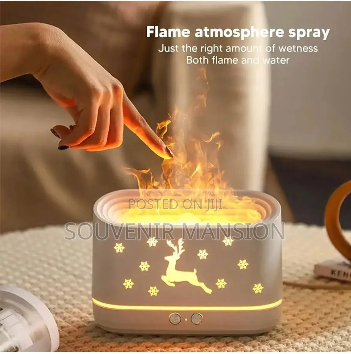 Aromatherapy Humidifier