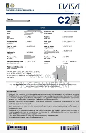 Indonesia Visa (100%)