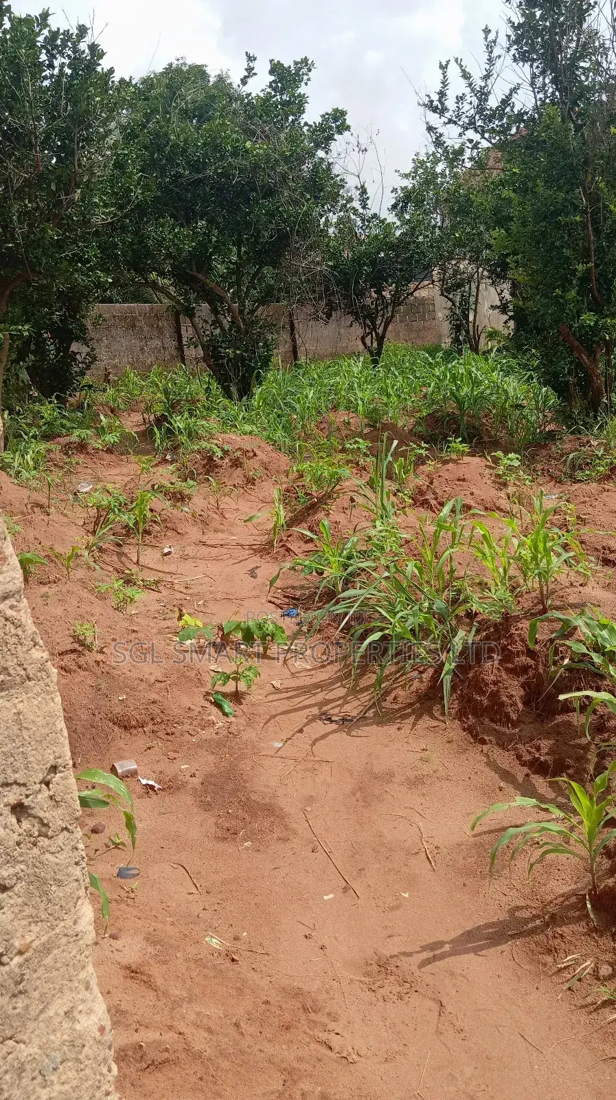 1 Plot of Land for Sale Aguoye Mini Estate