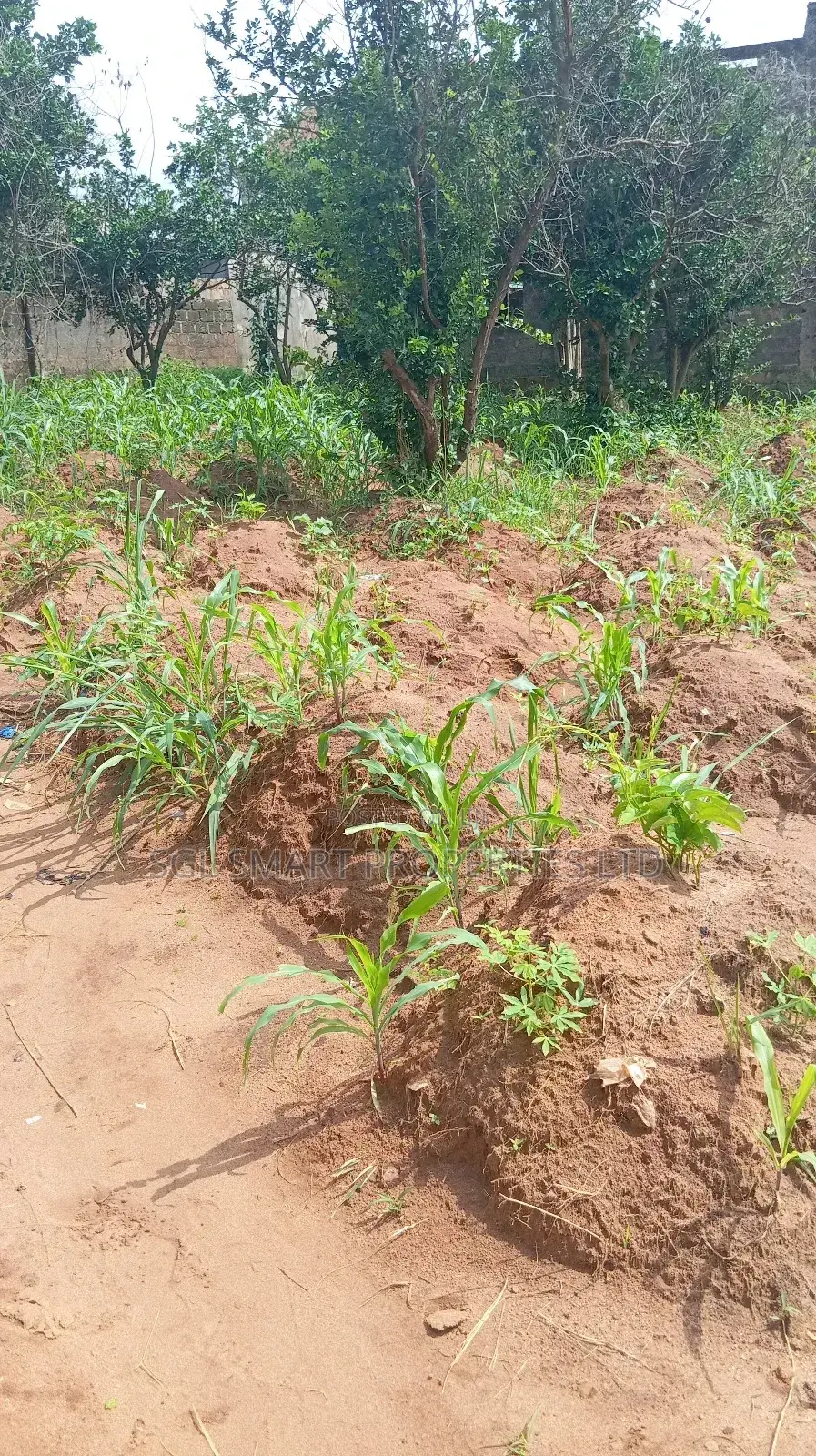 1 Plot of Land for Sale Aguoye Mini Estate