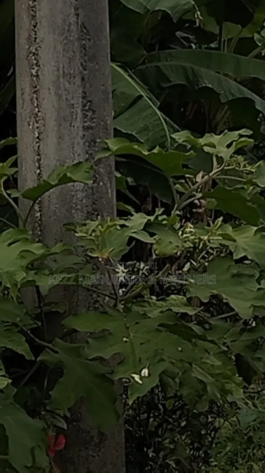 For Sale : 63 Resale Plots of Land at Ozuoba Ph