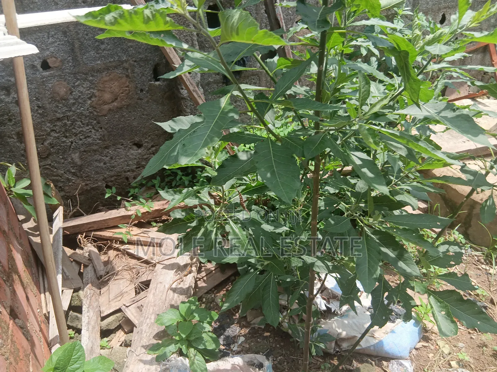 700sqm Plot Oba Akran Ikeja Prime Location