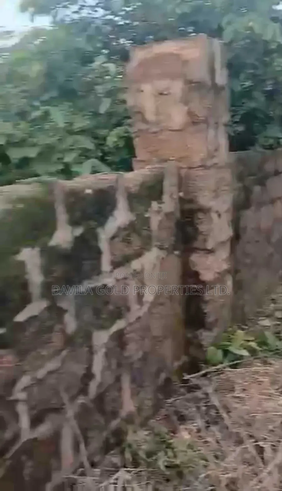 A Valuable Land for Sale