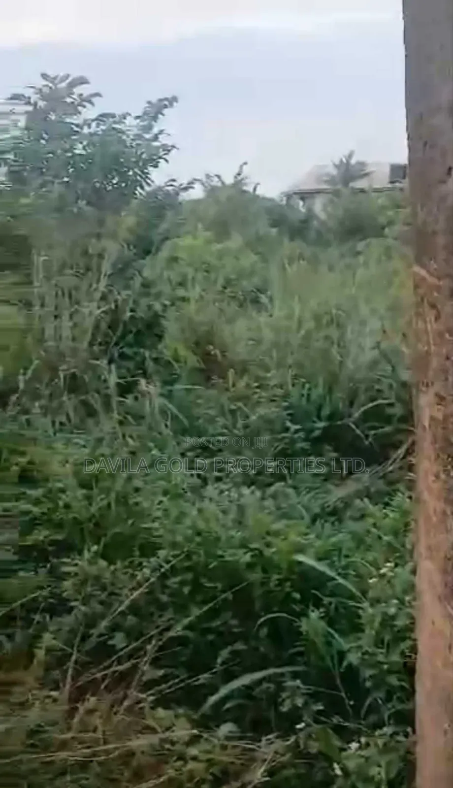A Valuable Land for Sale