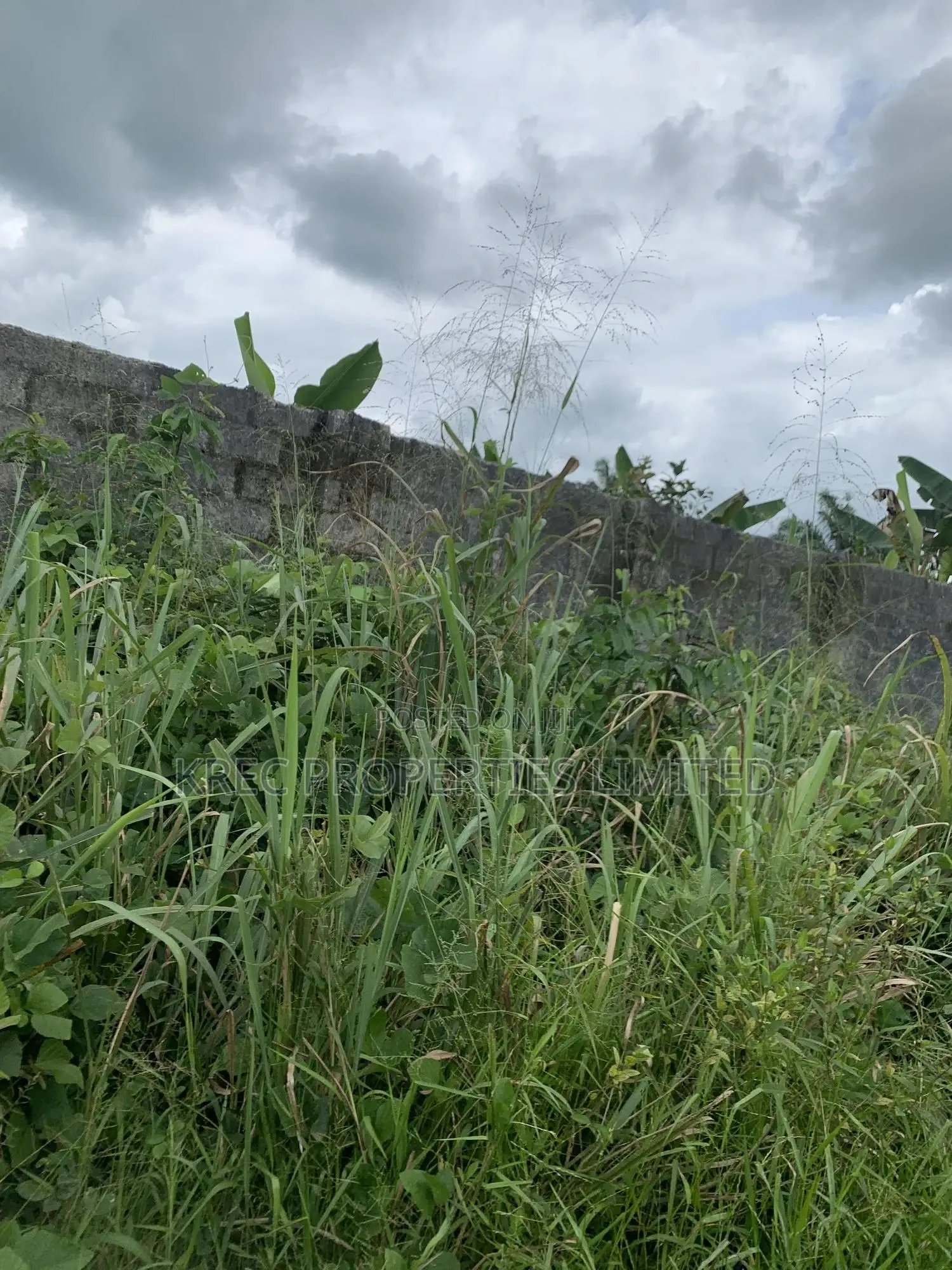 60plots on Distress Behind Ph Airport