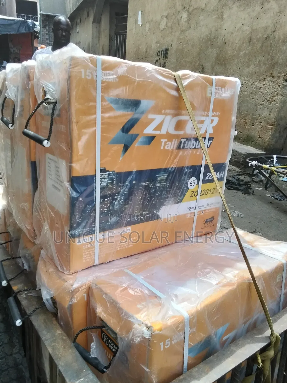 220a Zicer Tubular Battery