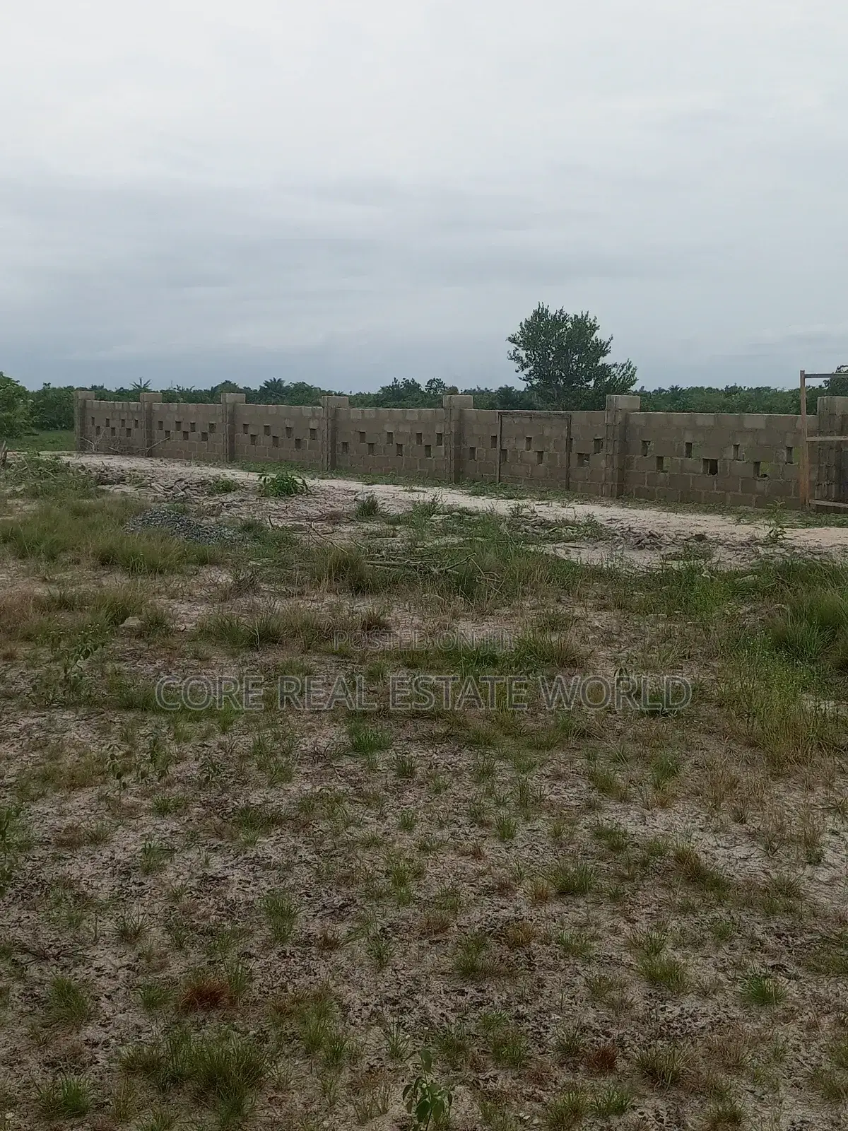 Affordable Land in Obodo Community Warri Delta State