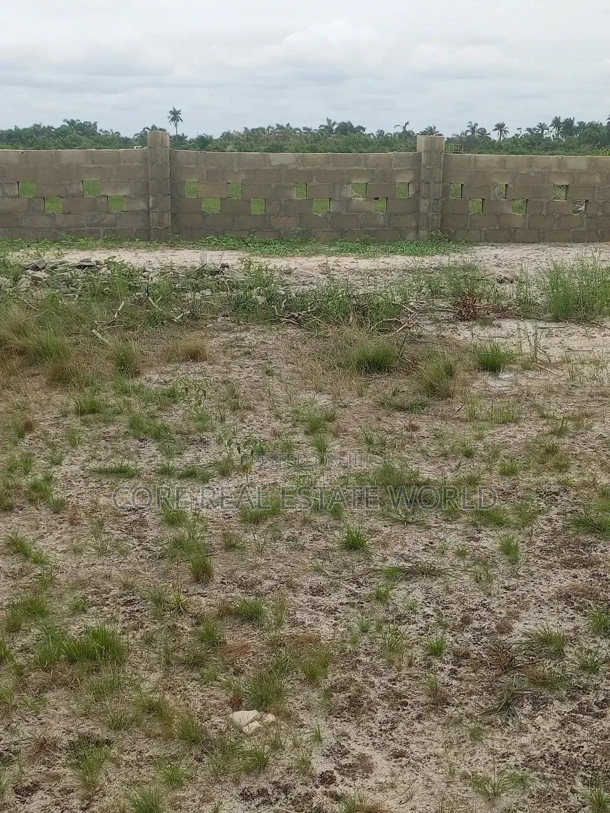 Affordable Land in Obodo Community Warri Delta State