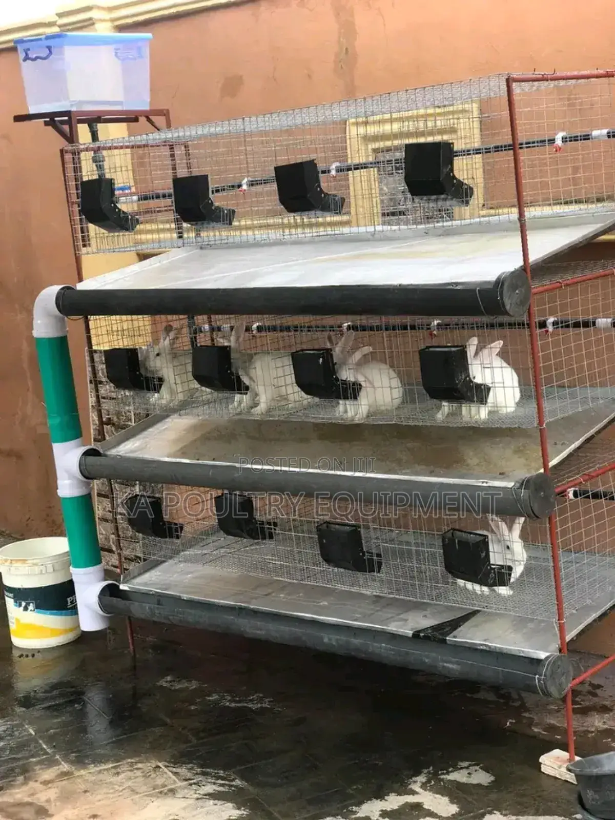 One Unit of Rabbit Cage That Contains 24 Rabbits