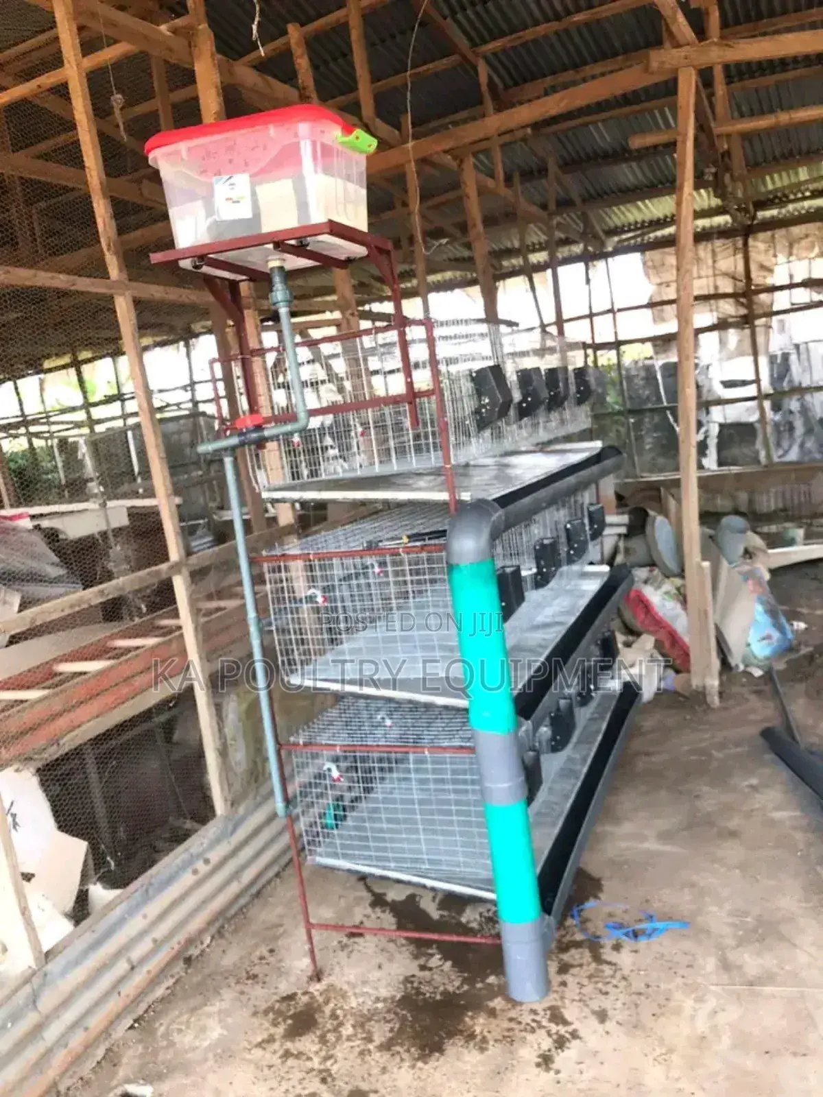 One Unit of Rabbit Cage That Contains 24 Rabbits