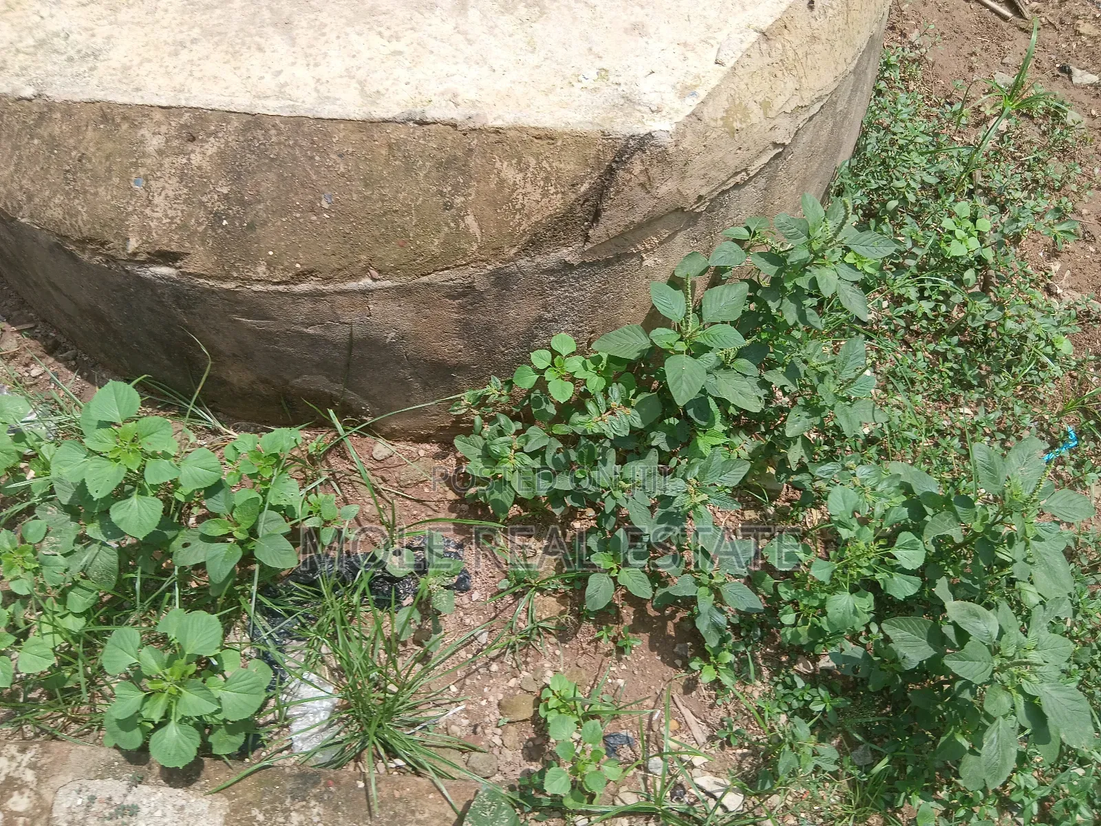 Massive 10 Plots Directly On Harris Drive Vgc