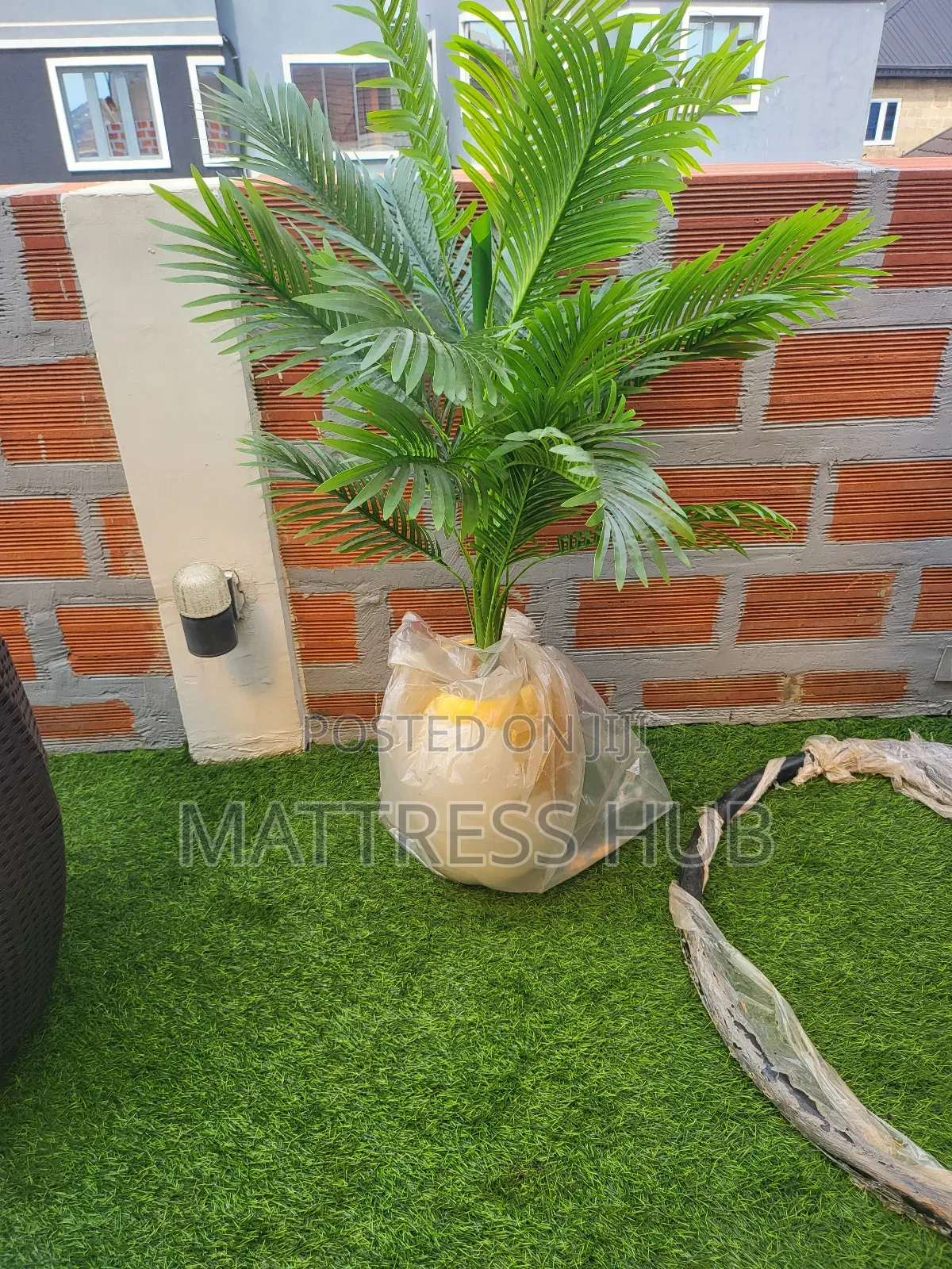 Luxury Palm Medium Flower and Map Design Wave Flower Pot