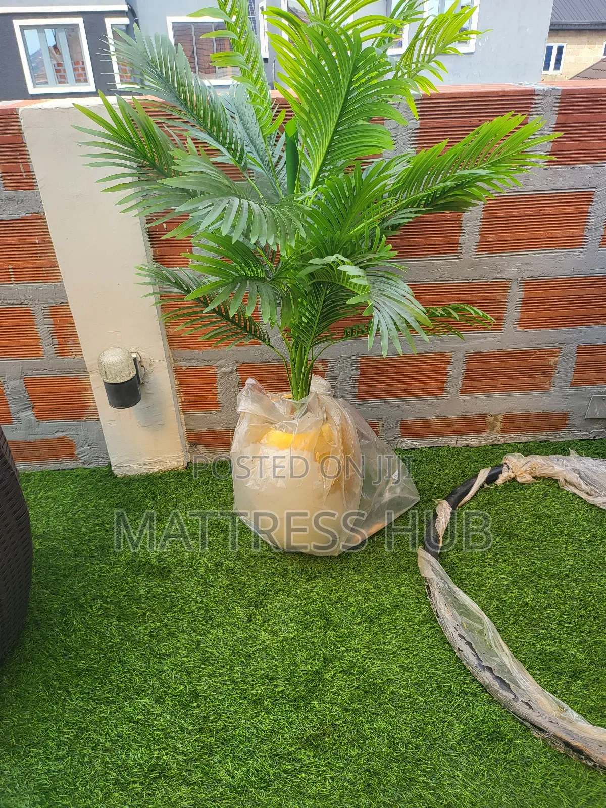 Luxury Palm Medium Flower and Map Design Wave Flower Pot