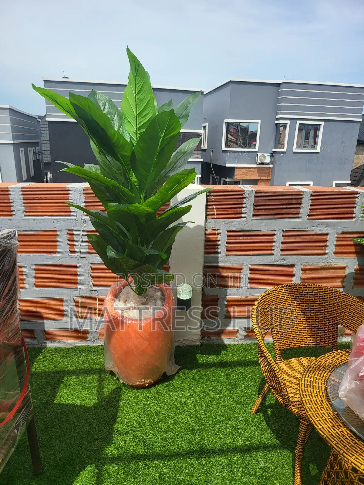 Shanfa Flower Vase Pot and Beautiful Plant Flower
