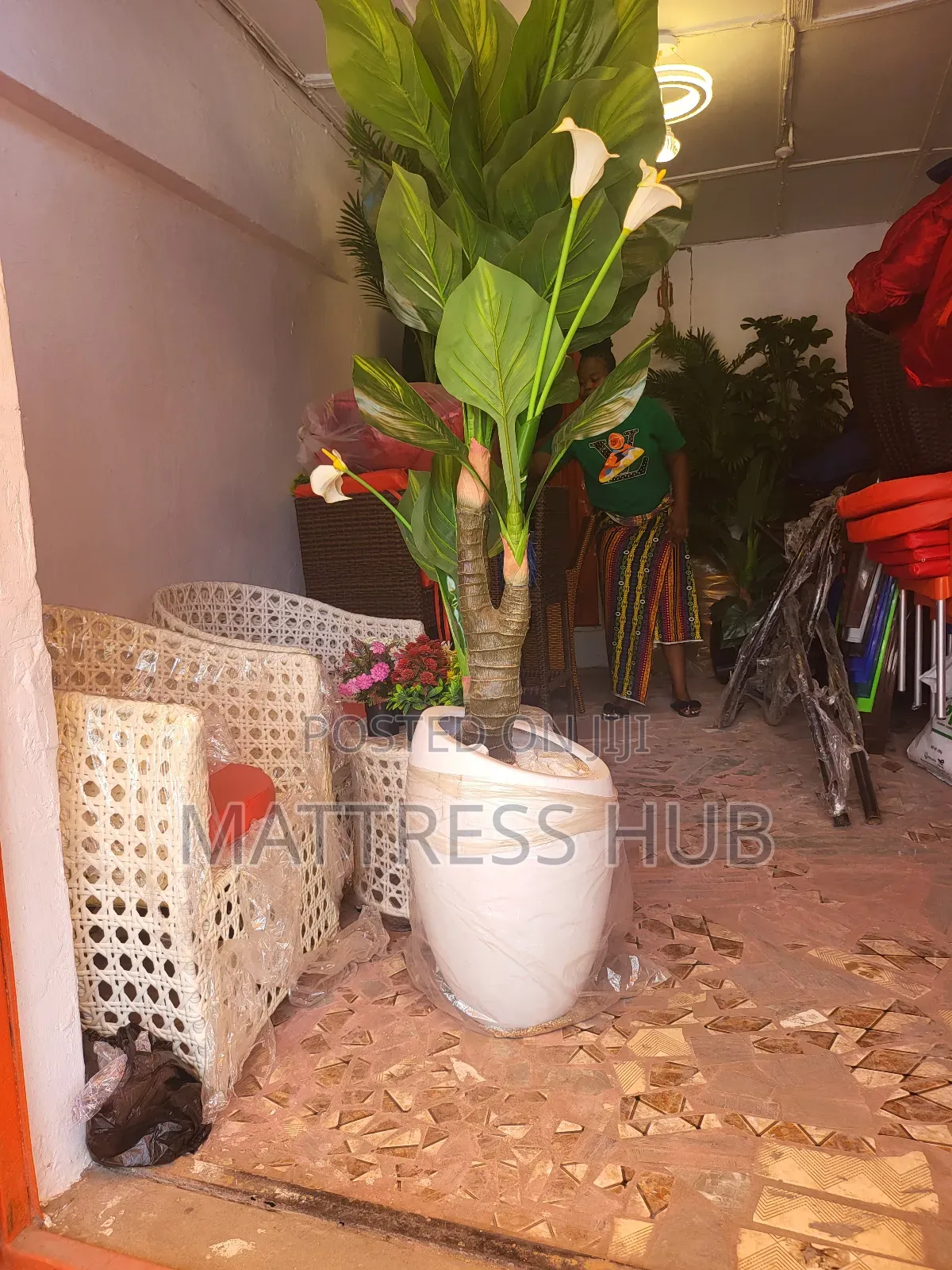 Stylish Shanfa Flower Vase Pot and Lively Flower Plant
