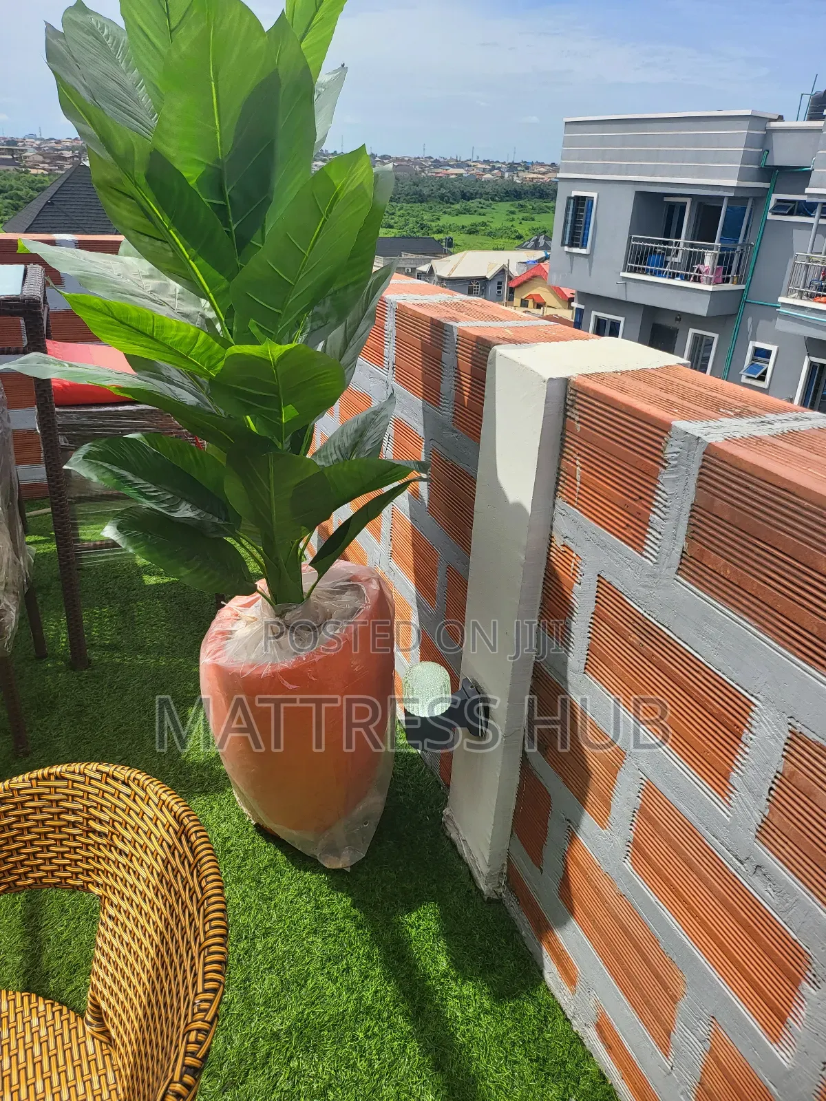 Stylish Shanfa Flower Vase Pot and Lively Flower Plant