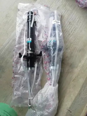 Back Shock Absorber Honda Accord 2008_2010