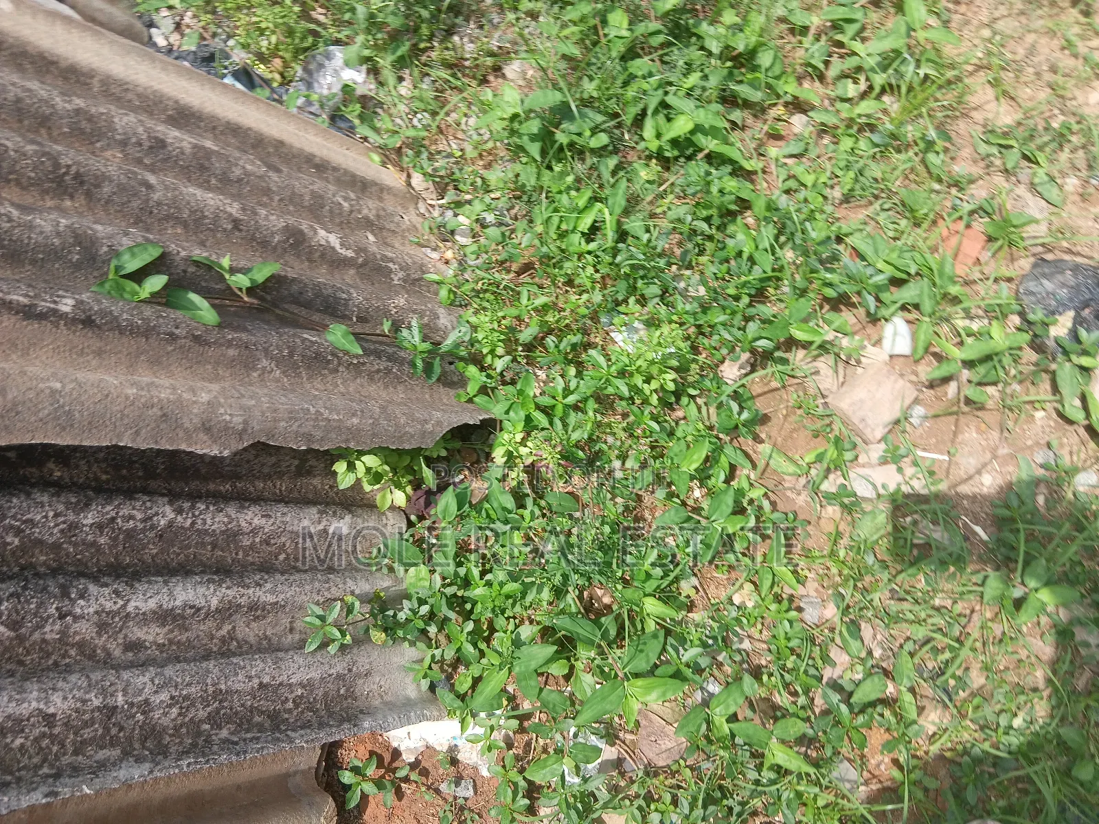 1600sqm Off Opebi Ikeja ( Jv) Joint Venture Kayode Close