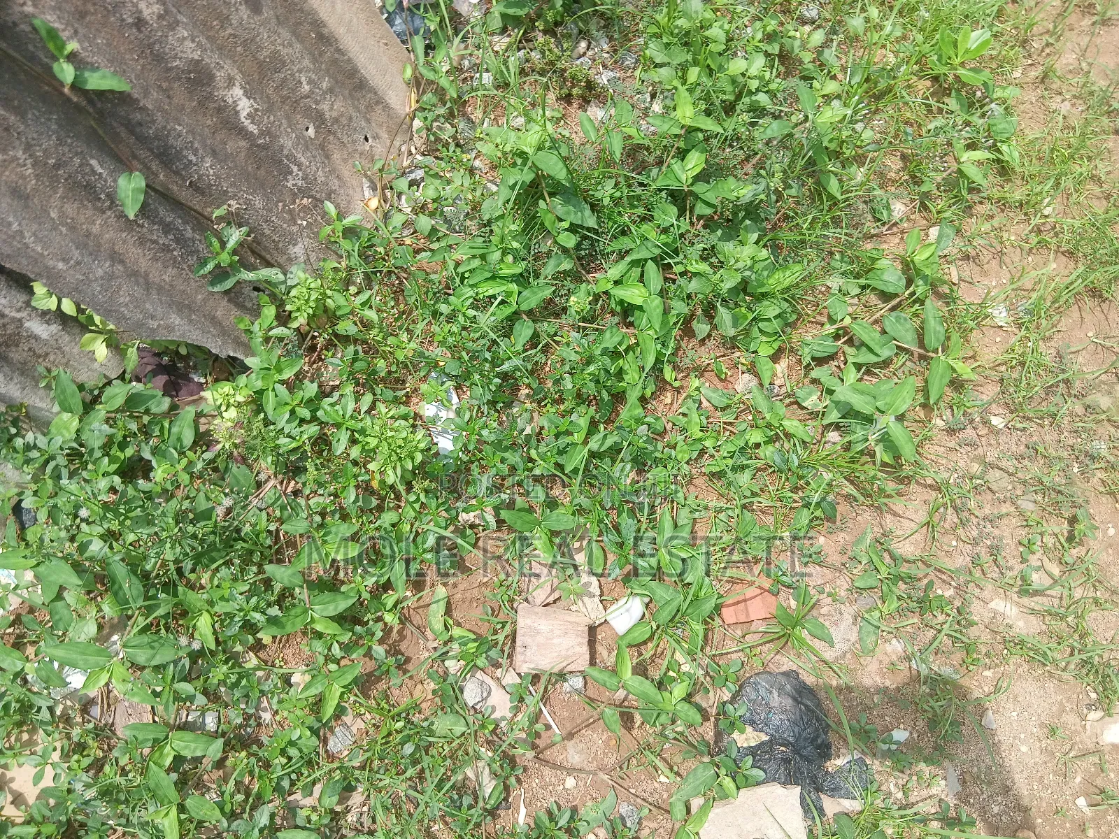 300sqm (Half Plot ) Governor's Rd Ikotun Close to Bustop