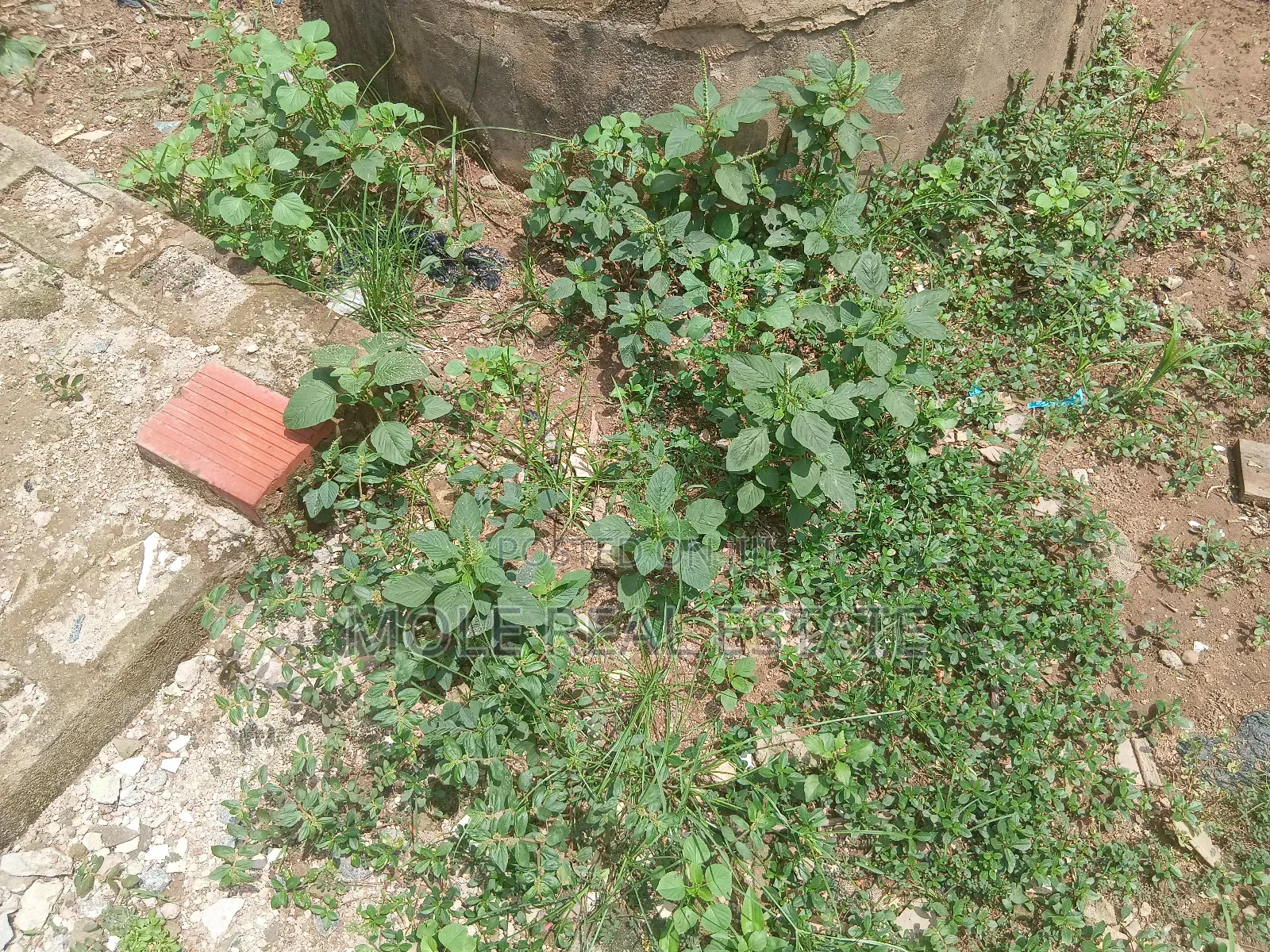 600sqm Plot Off Otumba Bamidele Governor's Rd Ikotun
