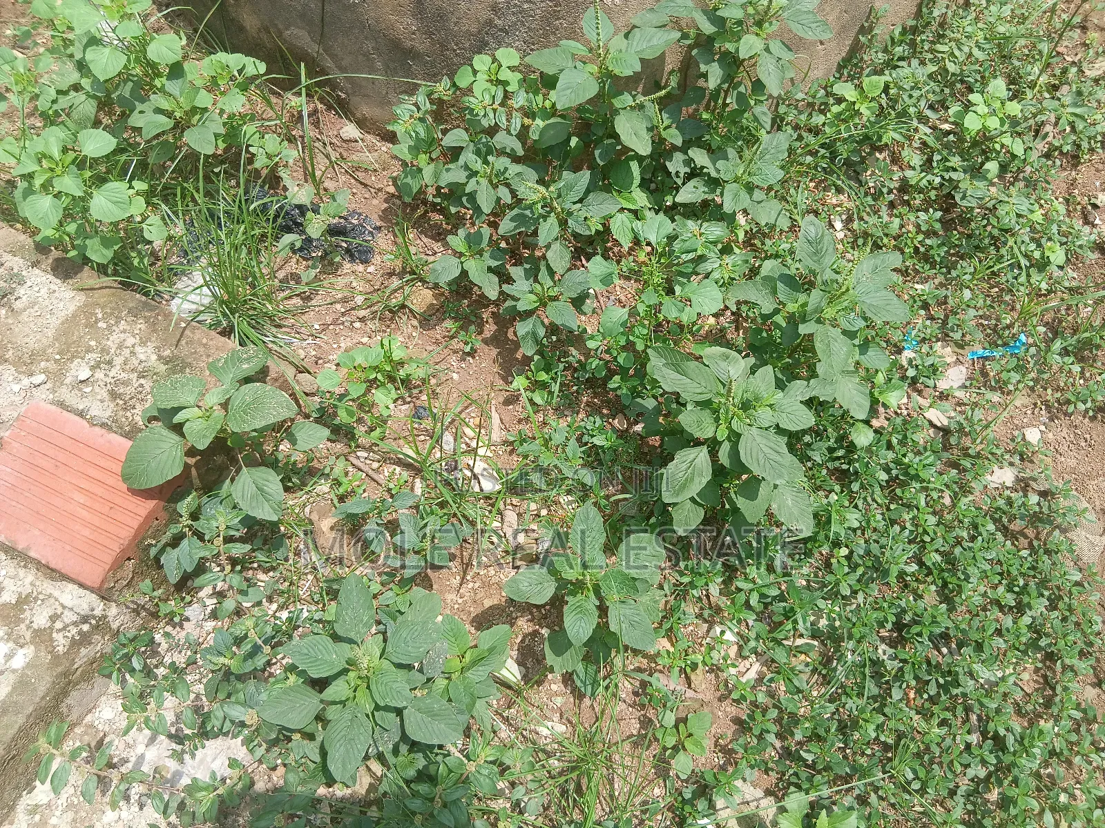600sqm Plot Off Otumba Bamidele Governor's Rd Ikotun