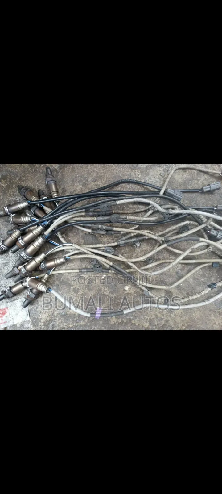 All Oxygen Sensors for All Kinds of Motors