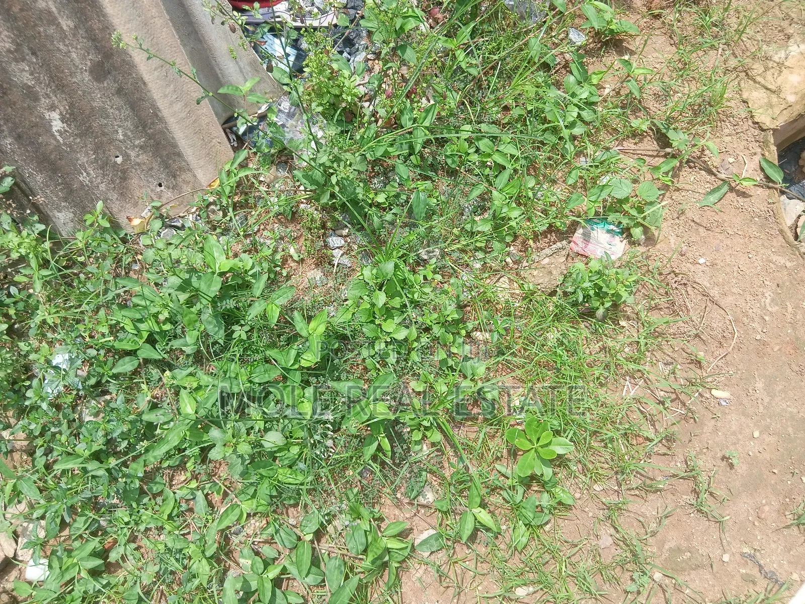 Full Plot Ijegun New Road 10% Initial Deposit Install Mental
