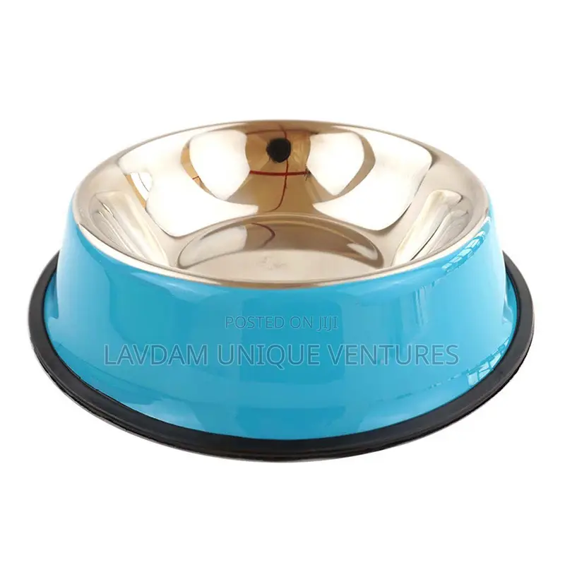 Stainless Steel Pet Bowl –Colorful Food Bowl for Dogs Cats