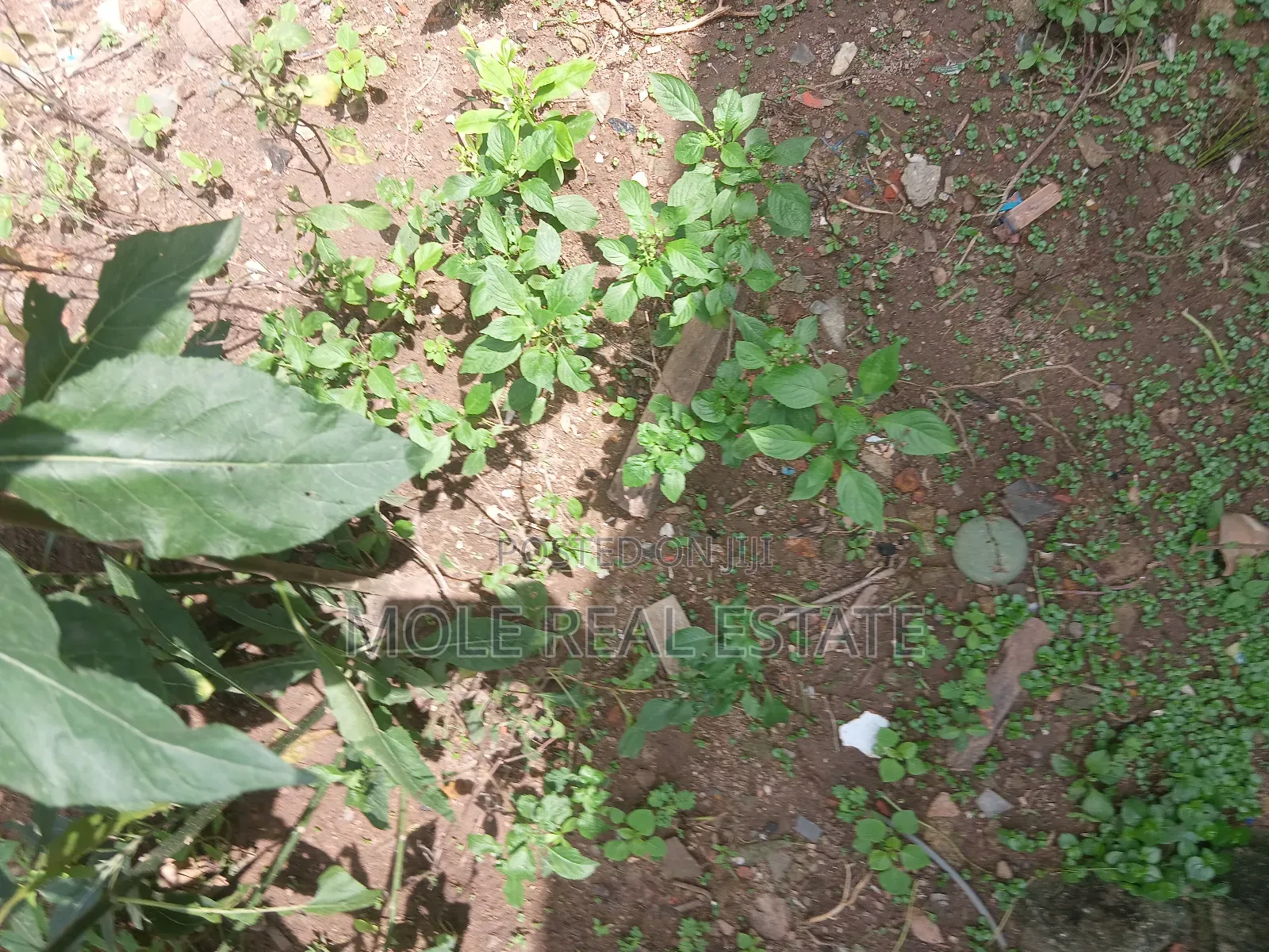 1000ßqm Plot Admiralty Way 4 Sale Direct Bank Asset