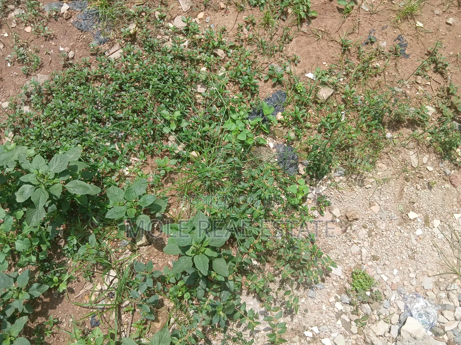 1204sqm Plot Sales ( Jv) Victoria Island Joint Venture
