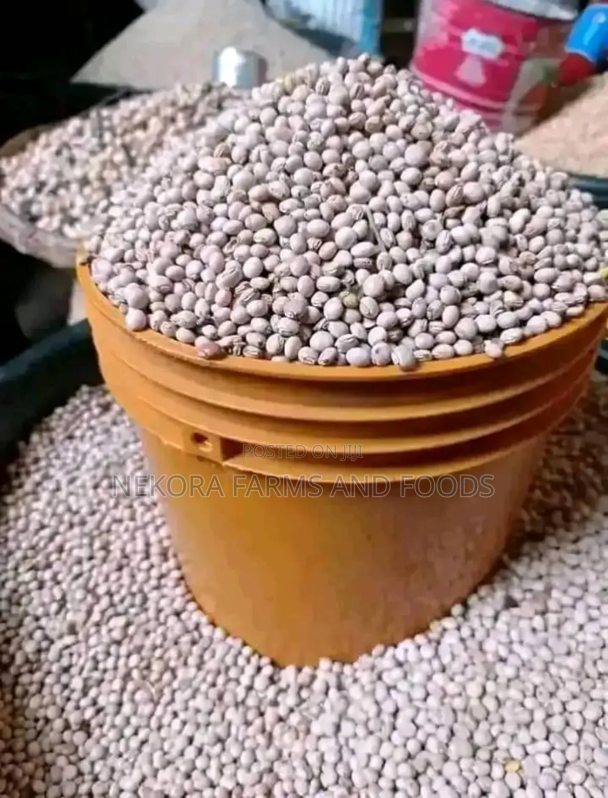 Pigeon Peas (Fio Fio)