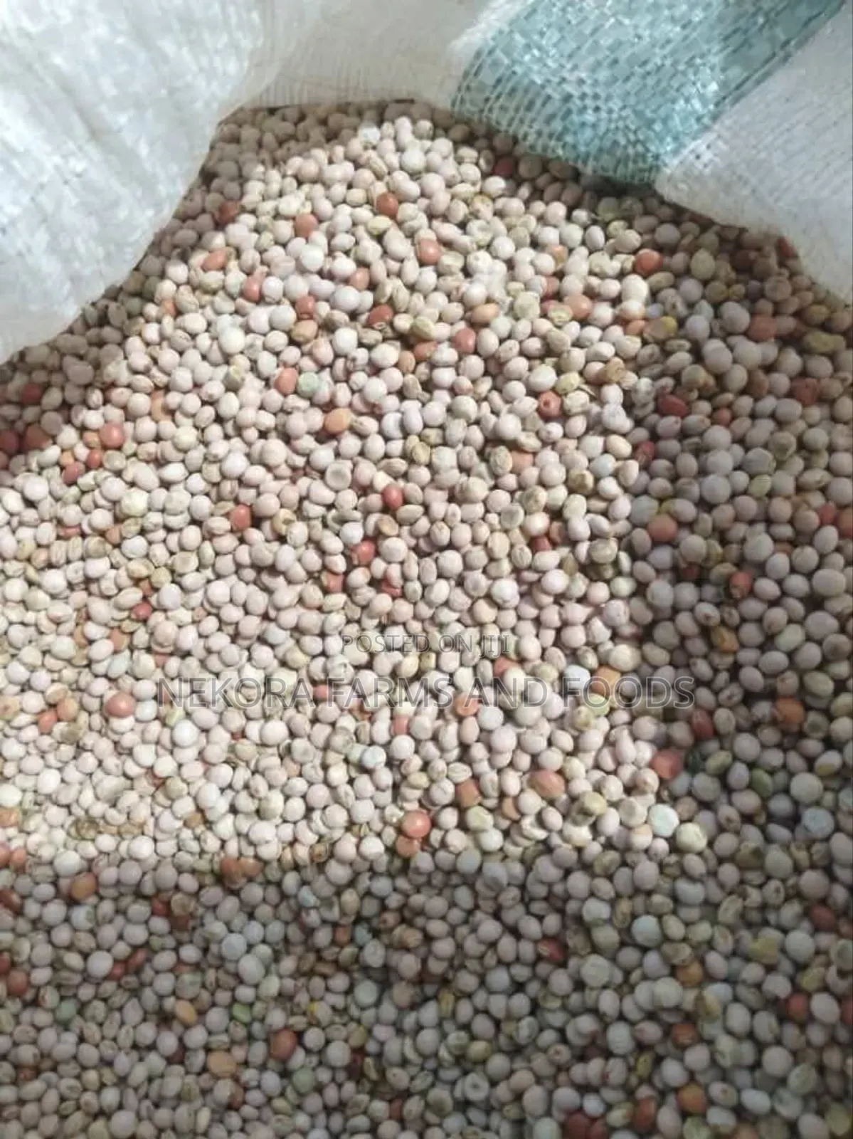 Pigeon Peas (Fio Fio)