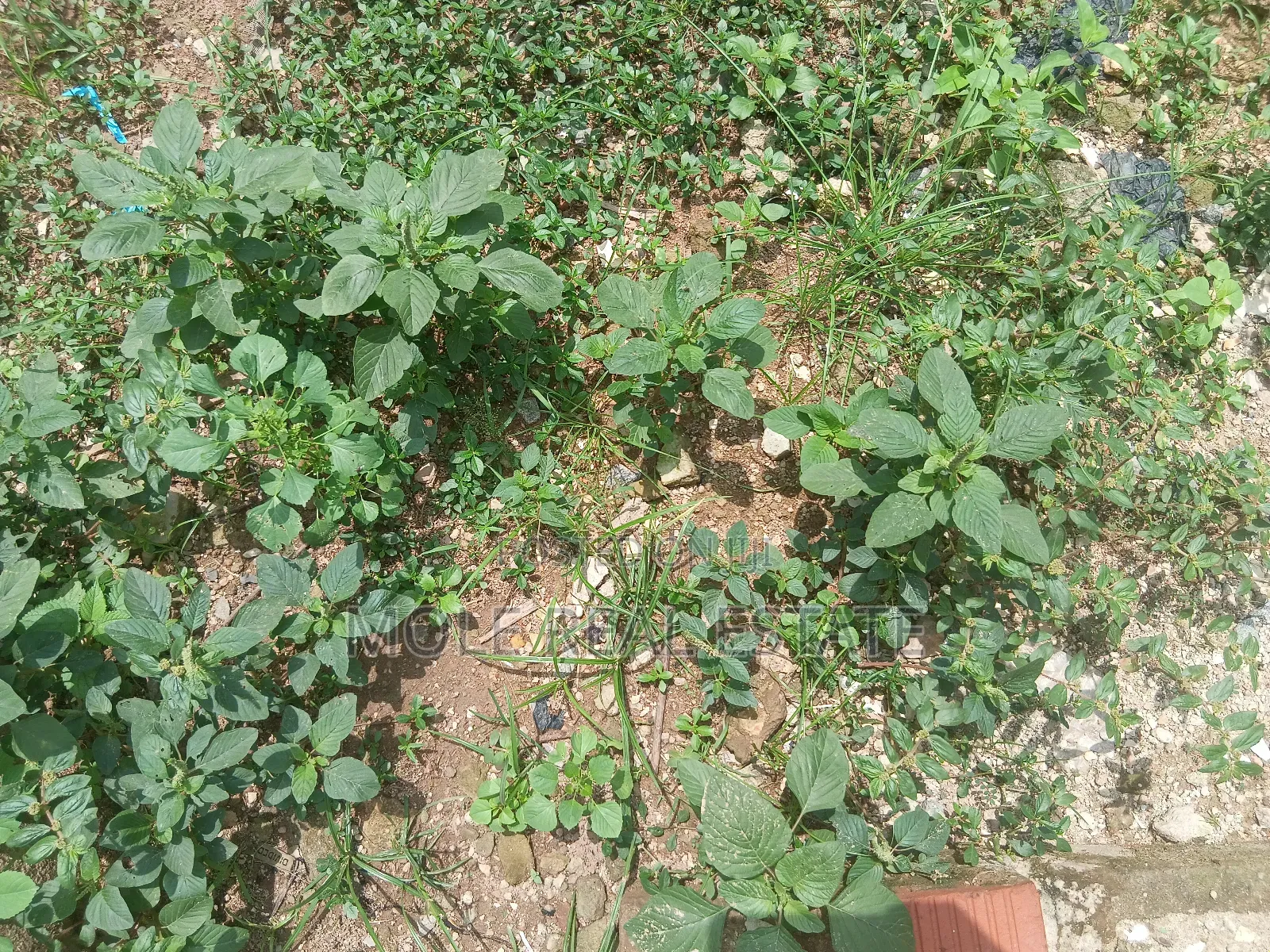 838.959sqm Taiye Olowu Off Victoria Arobieke Leki Phase 1