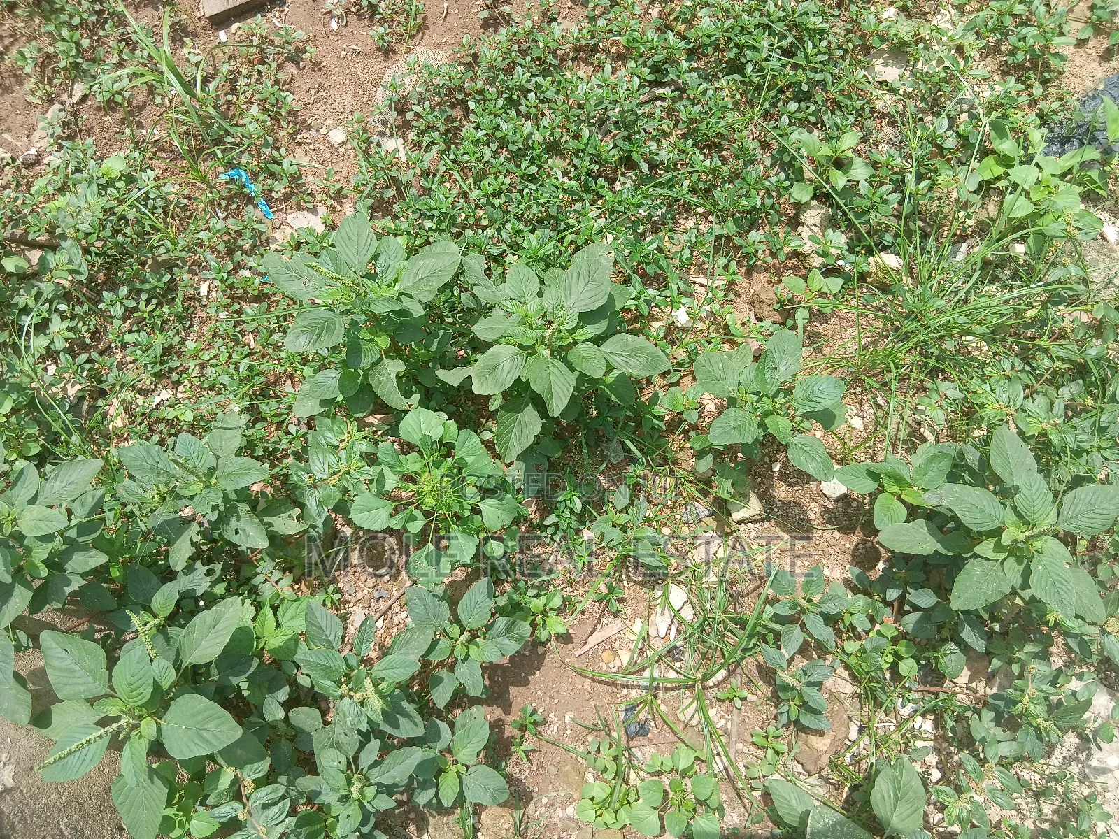 838.959sqm Taiye Olowu Off Victoria Arobieke Leki Phase 1