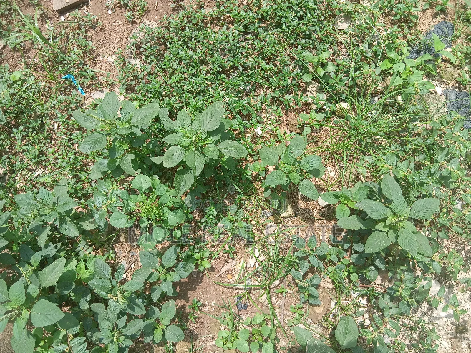 630sqm 4 Sale Plot Jerry Iriabe Leki Phase 1