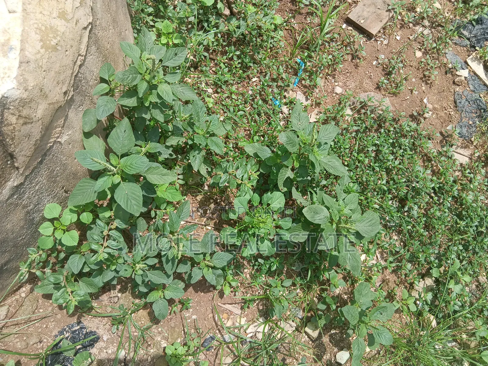 864.218sqm Plot 4 Sale Kenneth Agbakuru Leki Phase 1