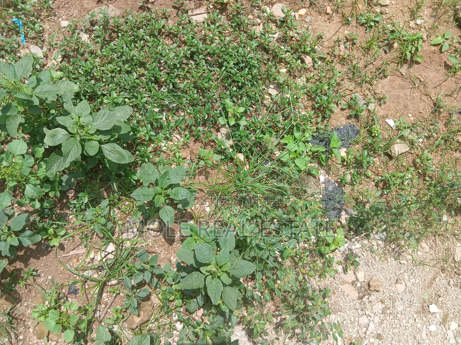 950sqm Plot 4 Sale Fola Osibo Street Leki Phase 1