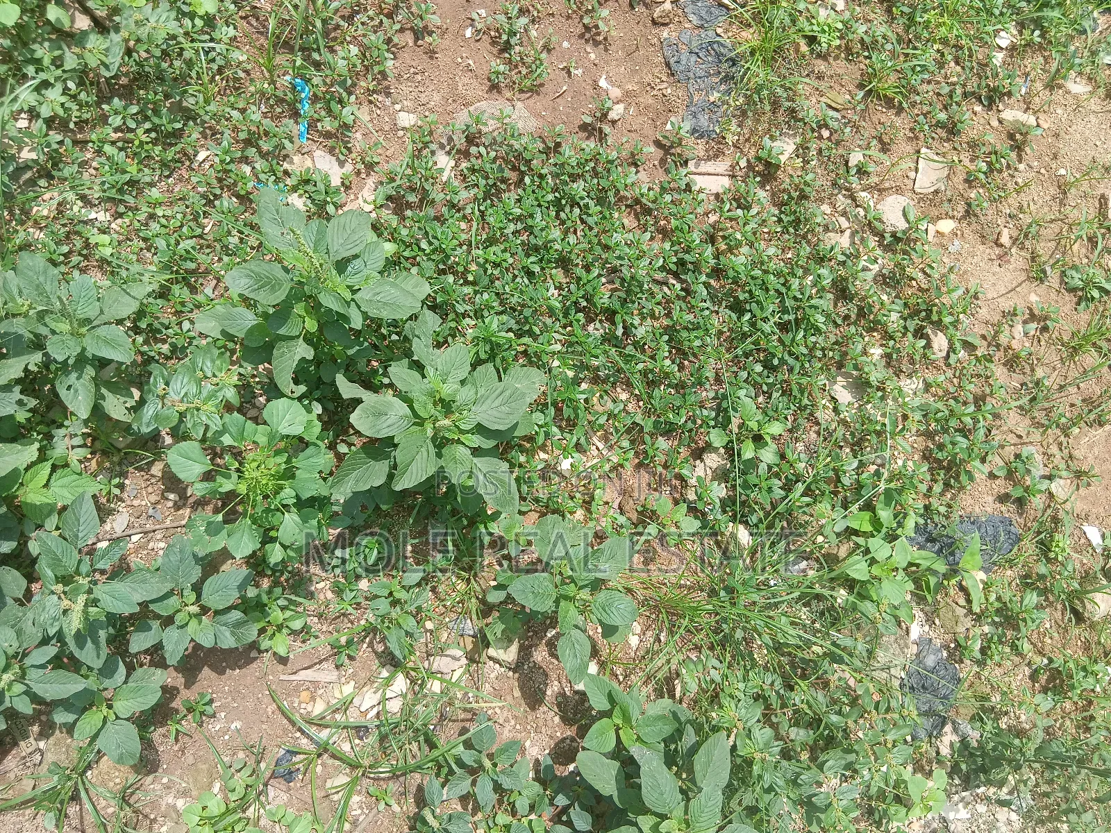 950sqm Plot 4 Sale Fola Osibo Street Leki Phase 1