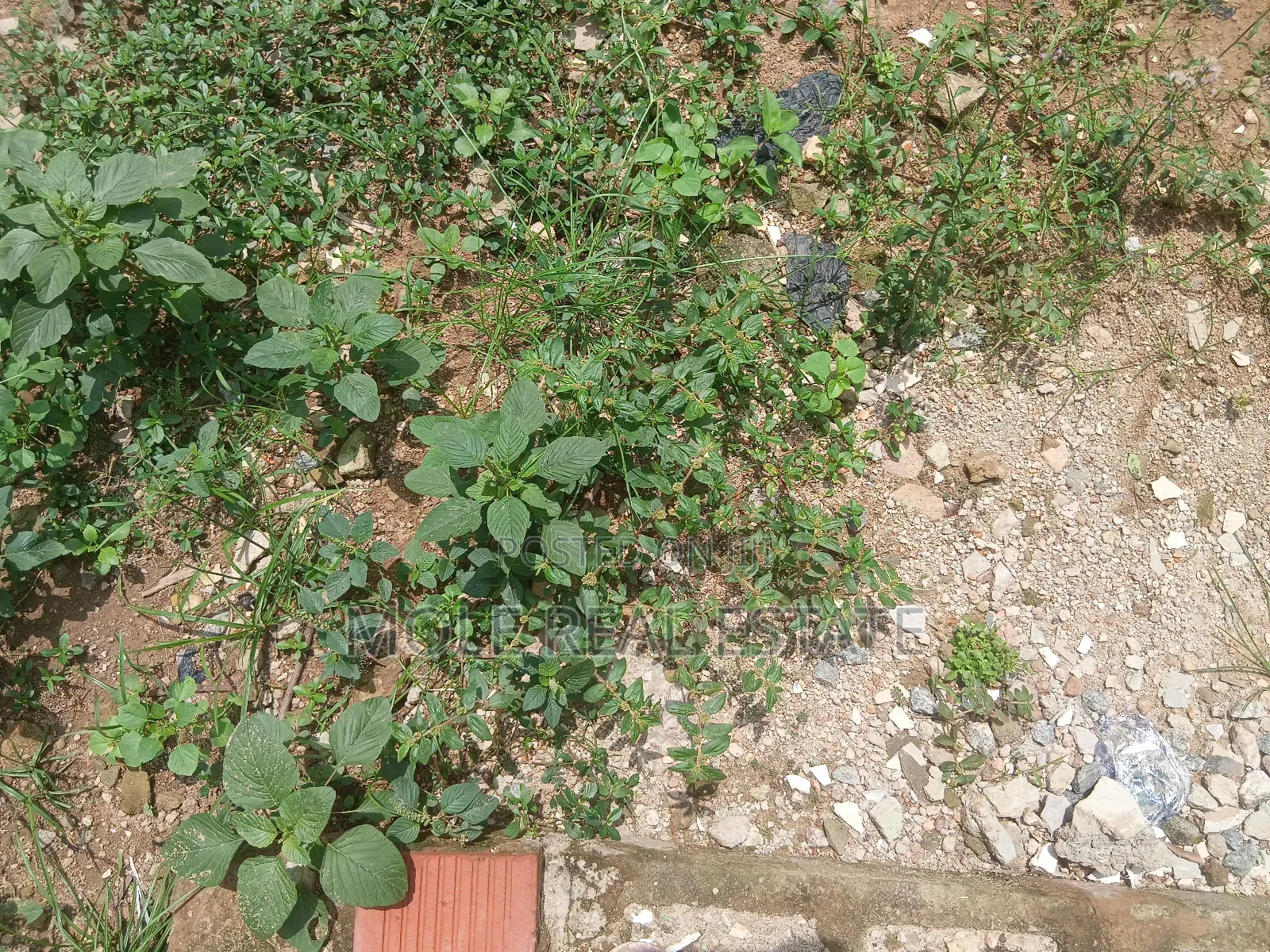 991sqm Cornerpiece 4 Sale Commerl. Mall/Adewumi Leki Phase 1