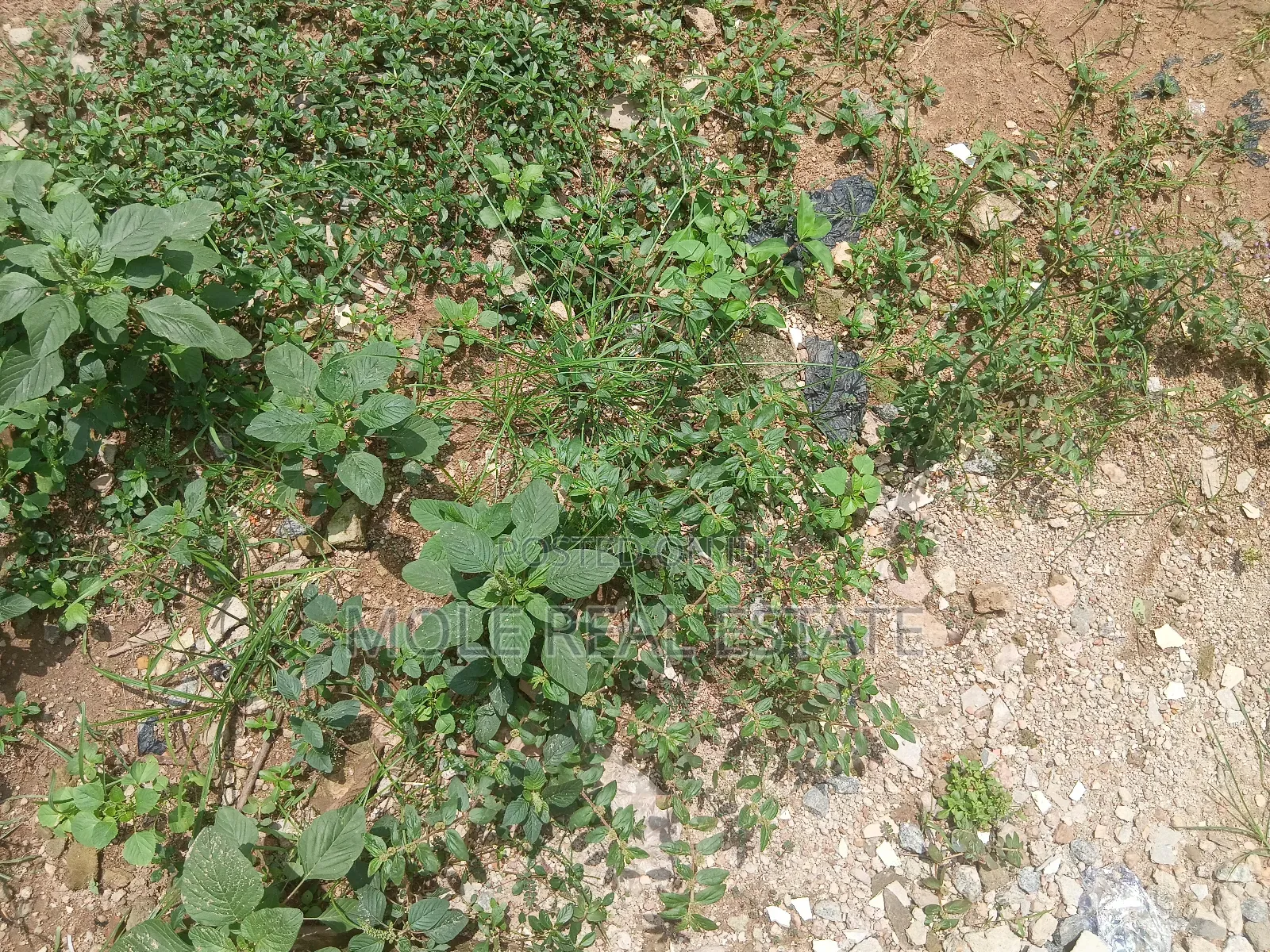 850sqm Plot 4 Sale Olajide Olabanji Street Leki Phase 1