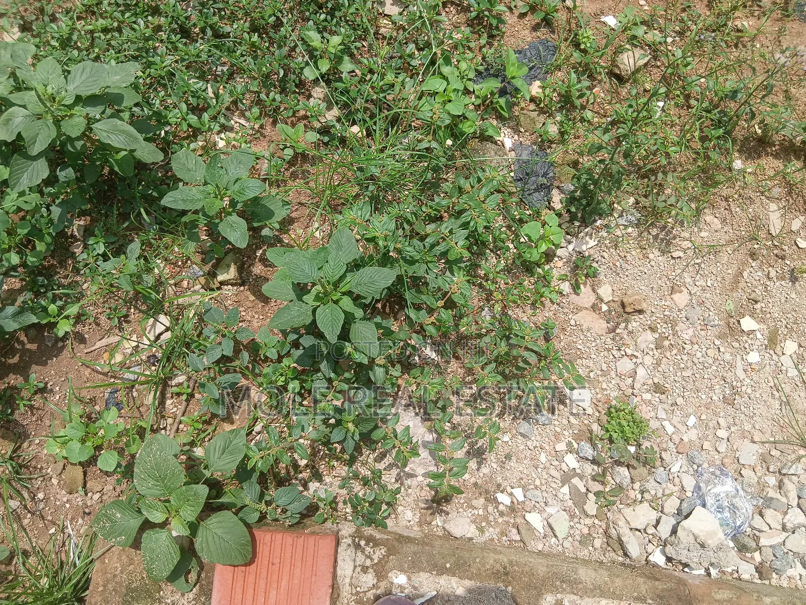 850sqm Plot 4 Sale Olajide Olabanji Street Leki Phase 1