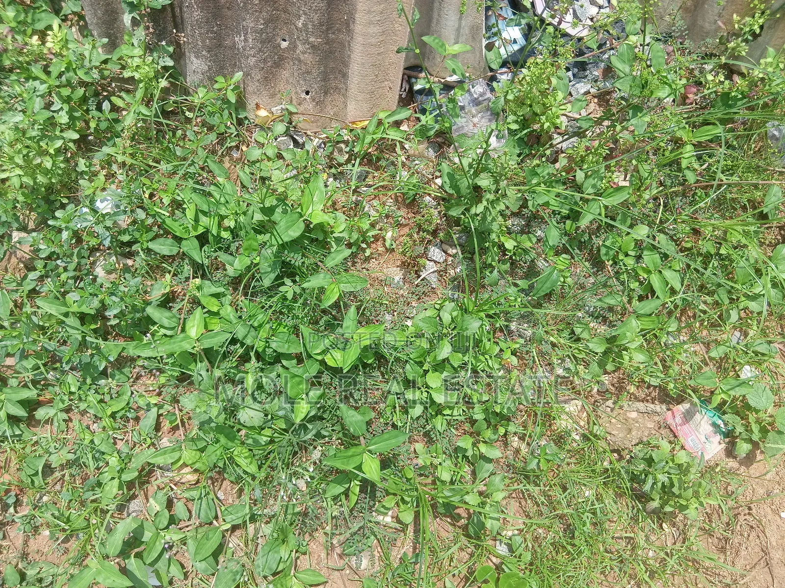 979sqm Plot 4 Sale Ben Okagbue Leki Phase 1