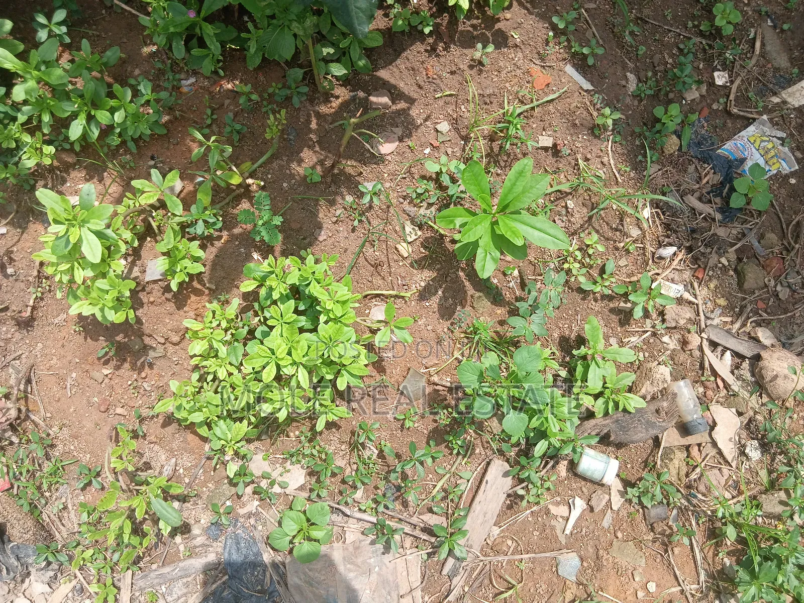 1000sqm Plot Ayinde Akinmade Off Admiralty Leki