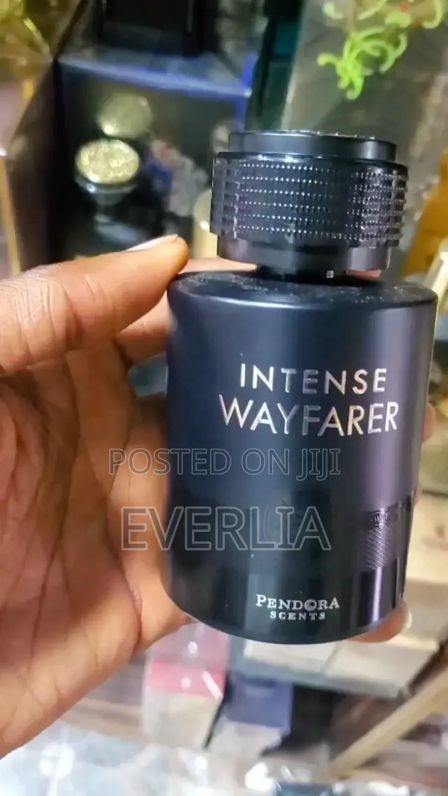 Intense Wayfarer Pendora Scents