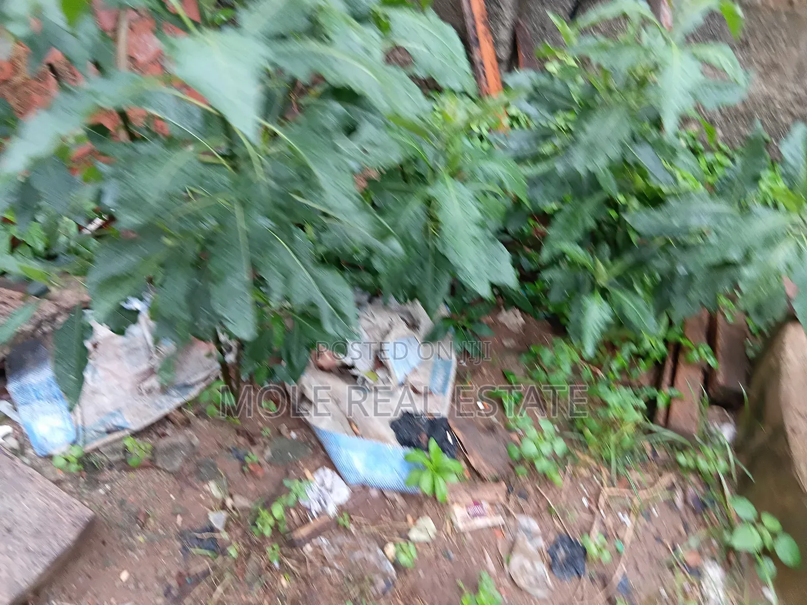500sqm Plots Ikotun Egbeda Alimosho