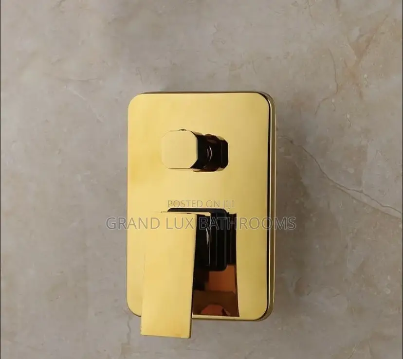 Luxury Modern Conduit Shower