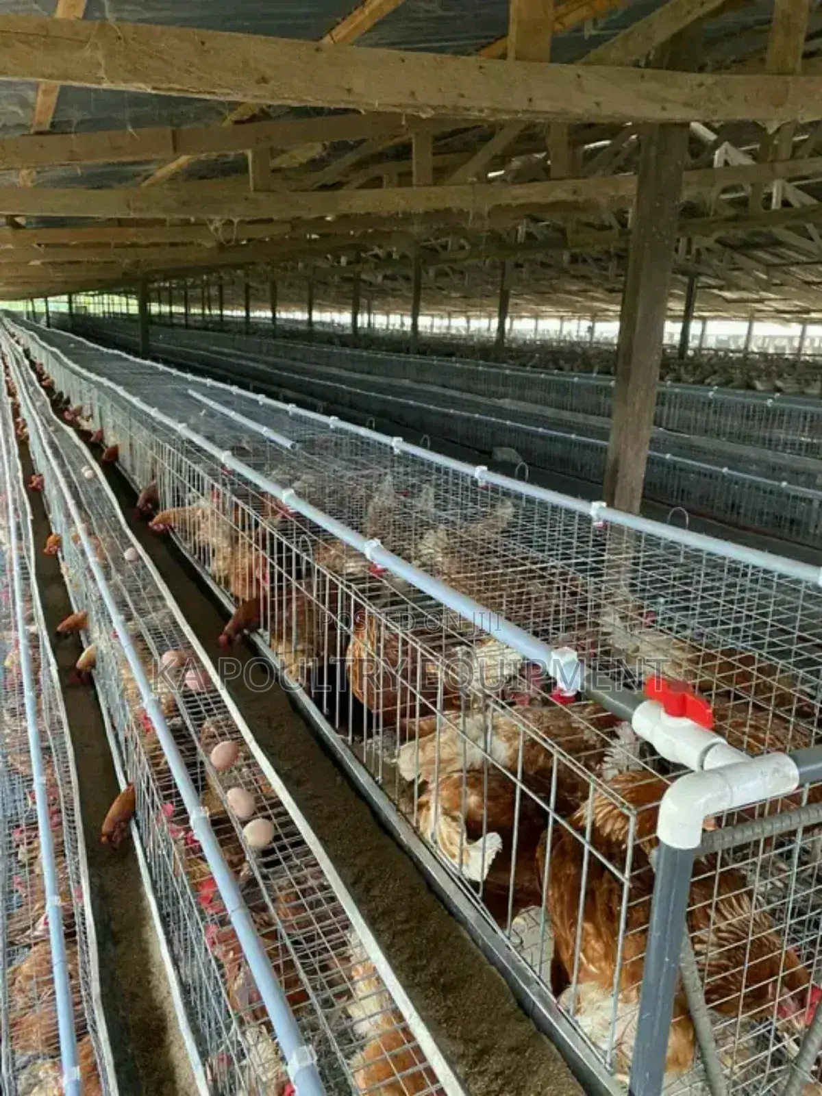 Battery Cage
