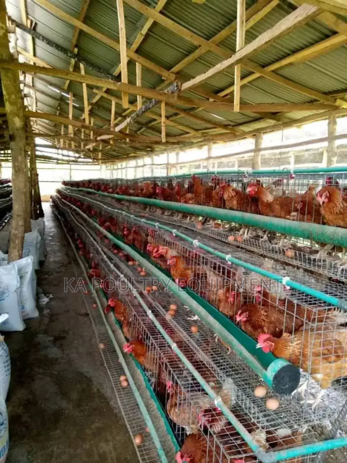 Battery Cage